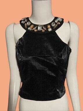 Black Jeweled Velvet Cropped Halter Top